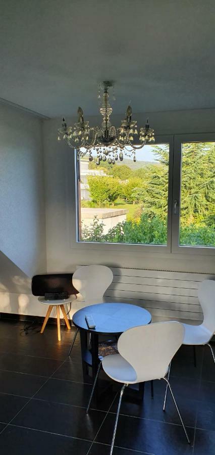 Nice Apartment In Horgen Near Lake And Pool Εξωτερικό φωτογραφία
