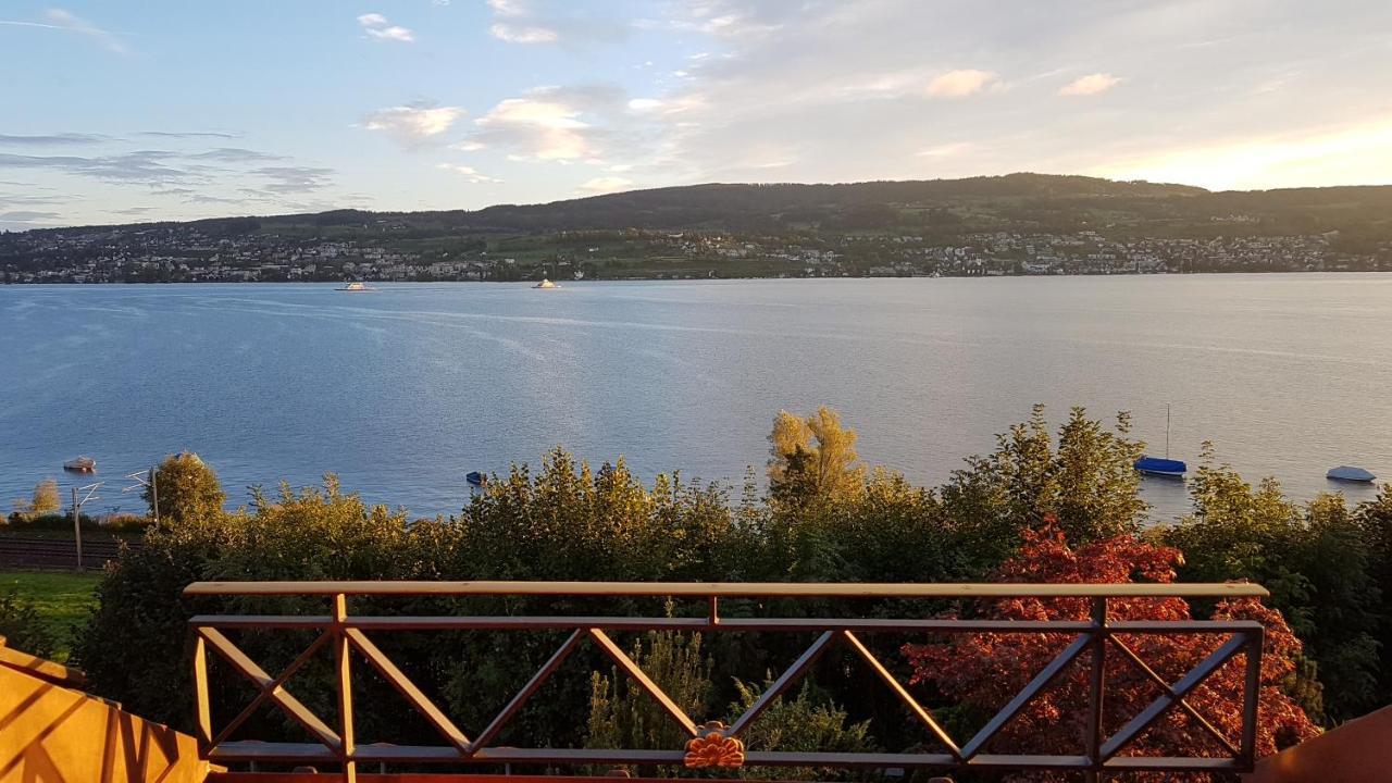Nice Apartment In Horgen Near Lake And Pool Εξωτερικό φωτογραφία